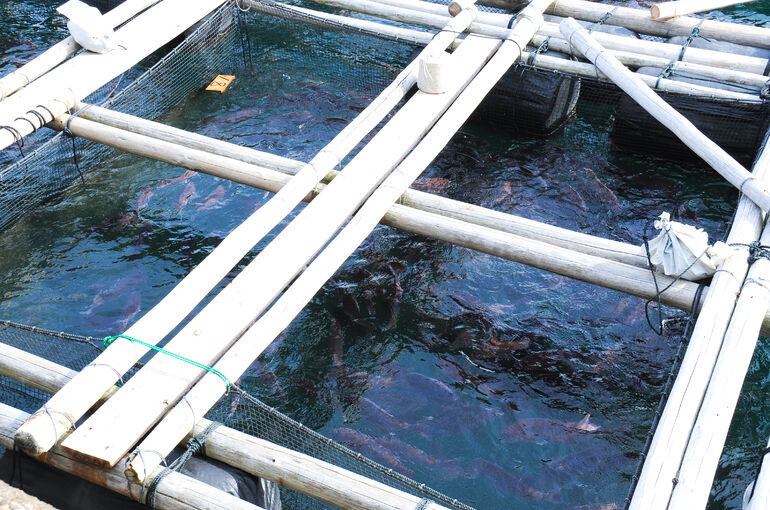 DSC_0412-163