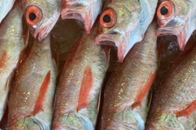 IMG_1949